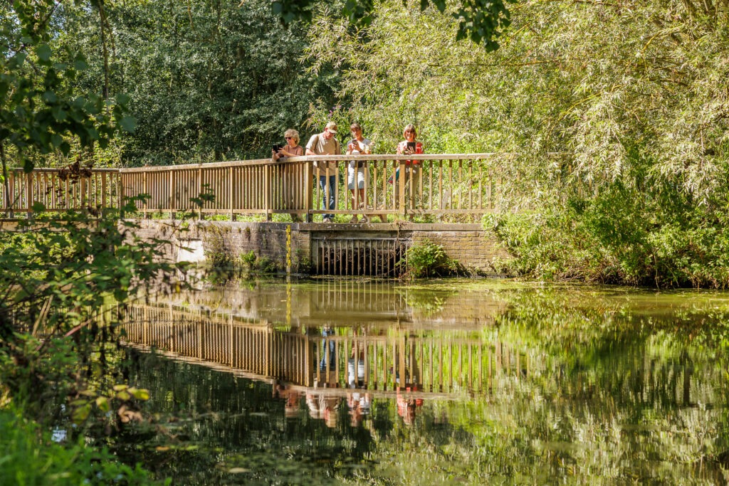 Wandelen langs de Zwalmbeek
