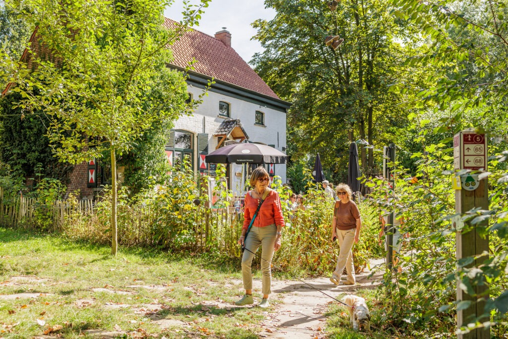 Wandelen langs de Zwalmbeek